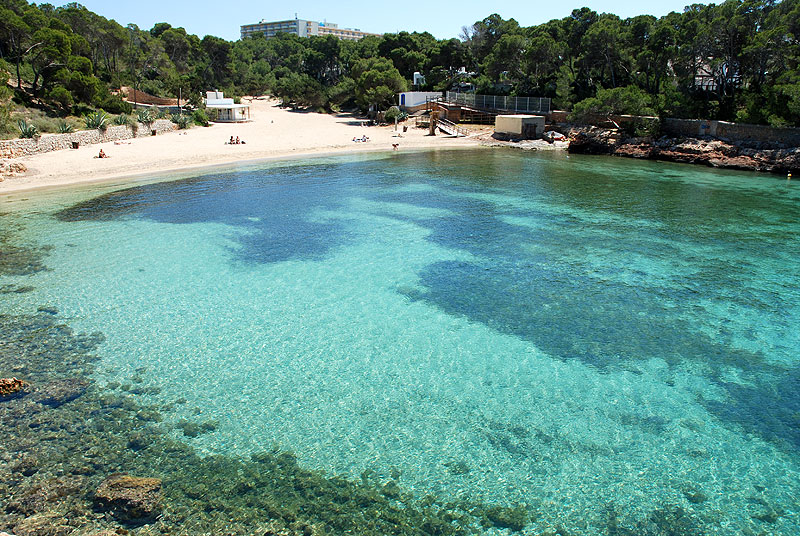 calagracio1
